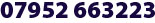 zero seven nine five two six six three two two three